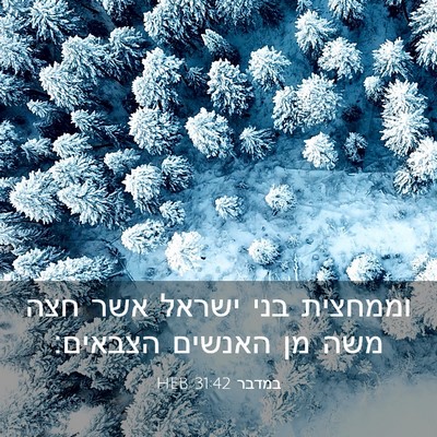 Picture 03 - במדבר 31:42 HEB - וממחצית בני ישראל אשר חצה - Bible Verse Picture