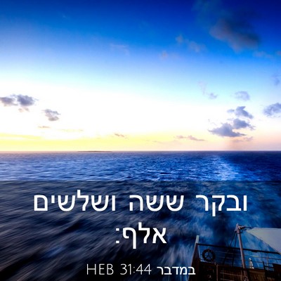 Picture 03 - במדבר 31:44 HEB - ובקר ששה ושלשים - Bible Verse Picture