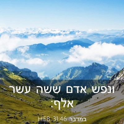 Picture 03 - במדבר 31:46 HEB - ונפש אדם ששה עשר - Bible Verse Picture