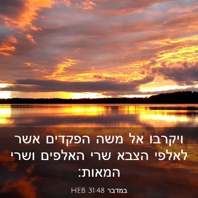 Picture 03 - במדבר 31:48 HEB - ויקרבו אל משה הפקדים אשר - Bible Verse Picture