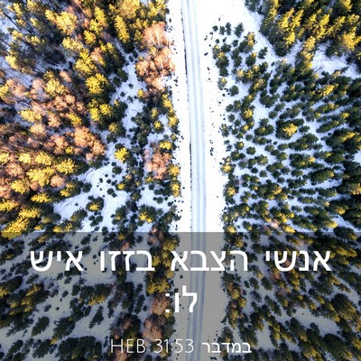 Picture 03 - במדבר 31:53 HEB - אנשי הצבא בזזו איש - Bible Verse Picture