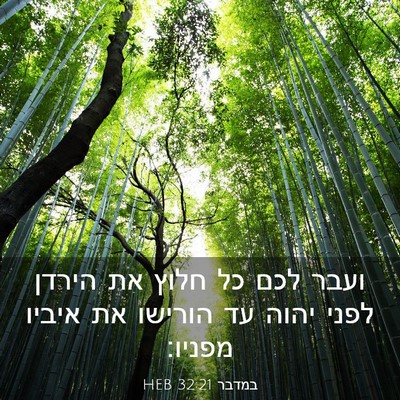 Picture 03 - במדבר 32:21 HEB - ועבר לכם כל חלוץ את הירדן - Bible Verse Picture