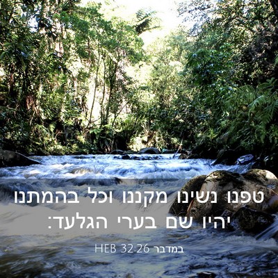 Picture 03 - במדבר 32:26 HEB - טפנו נשינו מקננו וכל - Bible Verse Picture