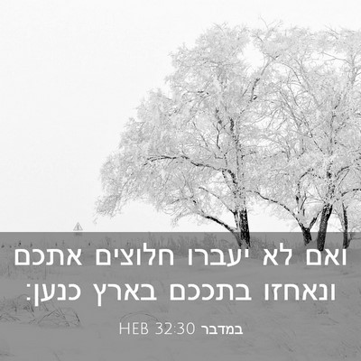 Picture 03 - במדבר 32:30 HEB - ואם לא יעברו חלוצים אתכם - Bible Verse Picture
