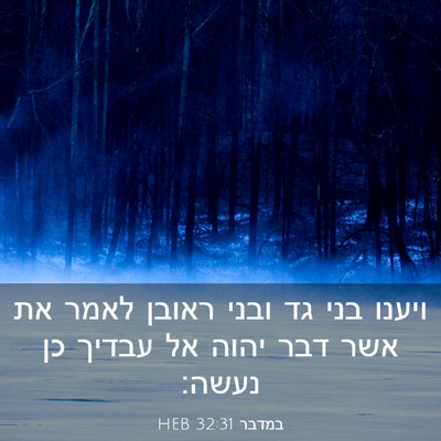 Picture 03 - במדבר 32:31 HEB - ויענו בני גד ובני ראובן - Bible Verse Picture
