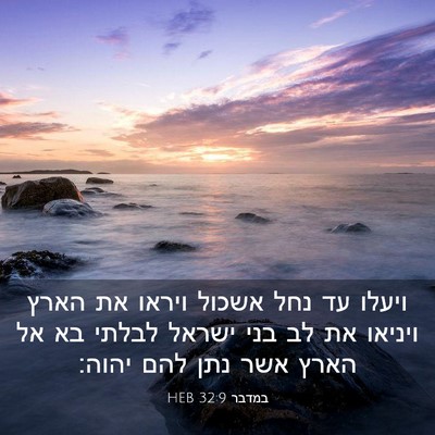 Picture 03 - במדבר 32:9 HEB - ויעלו עד נחל אשכול ויראו את - Bible Verse Picture