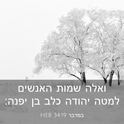 Picture 03 - במדבר 34:19 HEB - ואלה שמות האנשים למטה - Bible Verse Picture