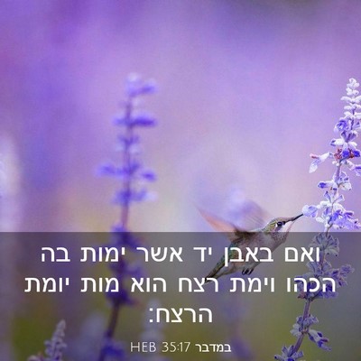Picture 03 - במדבר 35:17 HEB - ואם באבן יד אשר ימות בה - Bible Verse Picture