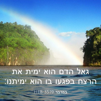 Picture 03 - במדבר 35:19 HEB - גאל הדם הוא ימית את הרצח - Bible Verse Picture