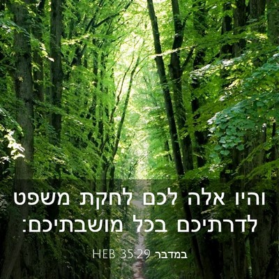 Picture 03 - במדבר 35:29 HEB - והיו אלה לכם לחקת משפט - Bible Verse Picture
