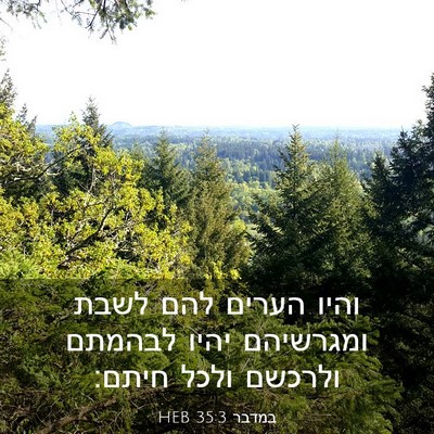 Picture 03 - במדבר 35:3 HEB - והיו הערים להם לשבת - Bible Verse Picture