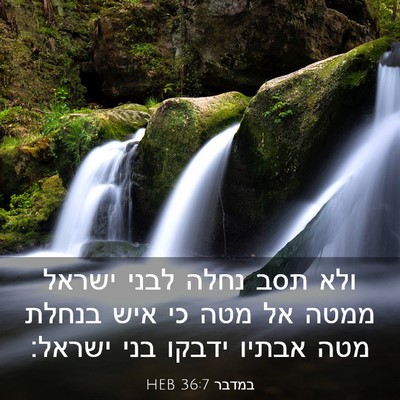 Picture 03 - במדבר 36:7 HEB - ולא תסב נחלה לבני ישראל - Bible Verse Picture