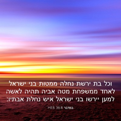 Picture 03 - במדבר 36:8 HEB - וכל בת ירשת נחלה ממטות בני - Bible Verse Picture