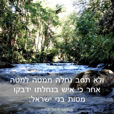 Picture 03 - במדבר 36:9 HEB - ולא תסב נחלה ממטה למטה אחר - Bible Verse Picture