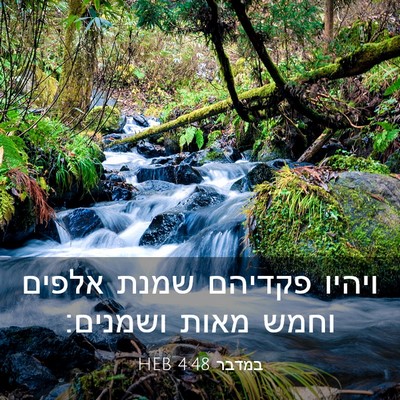 Picture 03 - במדבר 4:48 HEB - ויהיו פקדיהם שמנת אלפים - Bible Verse Picture