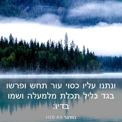 Picture 03 - במדבר 4:6 HEB - ונתנו עליו כסוי עור תחש - Bible Verse Picture