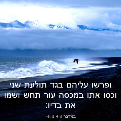 Picture 03 - במדבר 4:8 HEB - ופרשו עליהם בגד תולעת שני - Bible Verse Picture