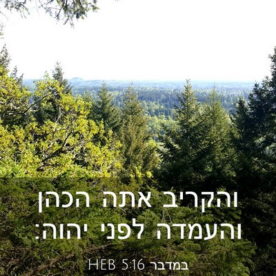 Picture 03 - במדבר 5:16 HEB - והקריב אתה הכהן והעמדה - Bible Verse Picture
