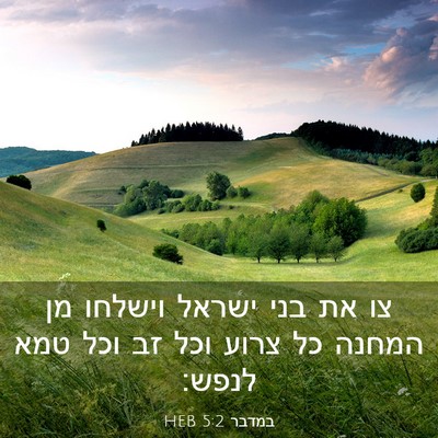 Picture 03 - במדבר 5:2 HEB - צו את בני ישראל וישלחו מן - Bible Verse Picture