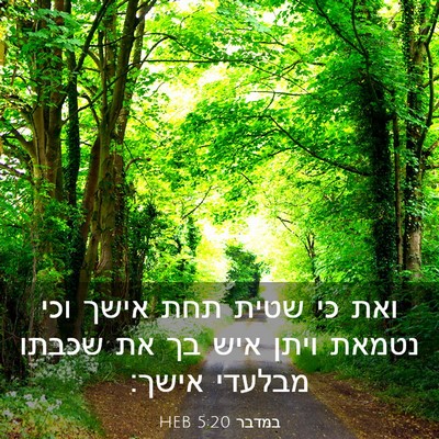 Picture 03 - במדבר 5:20 HEB - ואת כי שטית תחת אישך וכי - Bible Verse Picture