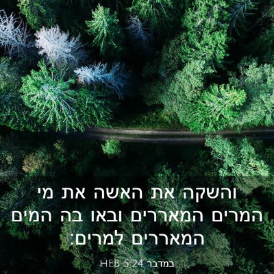Picture 03 - במדבר 5:24 HEB - והשקה את האשה את מי המרים - Bible Verse Picture