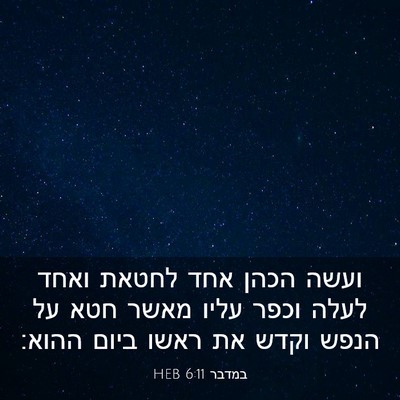 Picture 03 - במדבר 6:11 HEB - ועשה הכהן אחד לחטאת ואחד - Bible Verse Picture