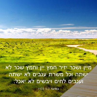 Picture 03 - במדבר 6:3 HEB - מיין ושכר יזיר חמץ יין וחמץ - Bible Verse Picture