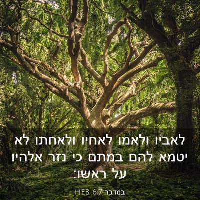 Picture 03 - במדבר 6:7 HEB - לאביו ולאמו לאחיו ולאחתו - Bible Verse Picture