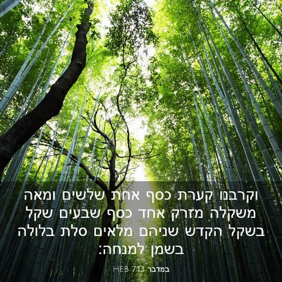 Picture 03 - במדבר 7:13 HEB - וקרבנו קערת כסף אחת שלשים - Bible Verse Picture