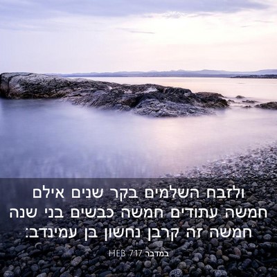 Picture 03 - במדבר 7:17 HEB - ולזבח השלמים בקר שנים אילם - Bible Verse Picture