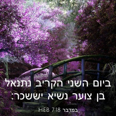 Picture 03 - במדבר 7:18 HEB - ביום השני הקריב נתנאל בן - Bible Verse Picture