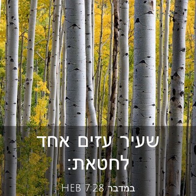 Picture 03 - במדבר 7:28 HEB - שעיר עזים אחד - Bible Verse Picture