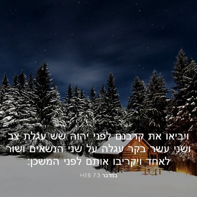 Picture 03 - במדבר 7:3 HEB - ויביאו את קרבנם לפני יהוה - Bible Verse Picture