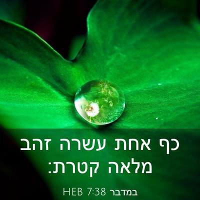 Picture 03 - במדבר 7:38 HEB - כף אחת עשרה זהב מלאה - Bible Verse Picture