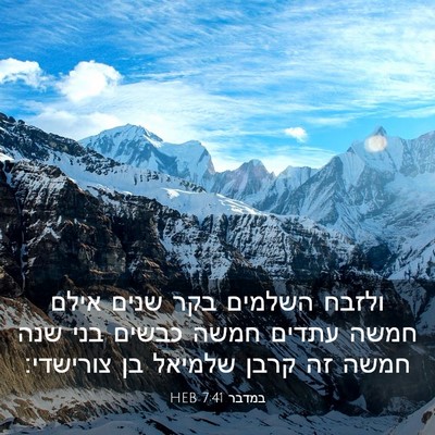 Picture 03 - במדבר 7:41 HEB - ולזבח השלמים בקר שנים אילם - Bible Verse Picture