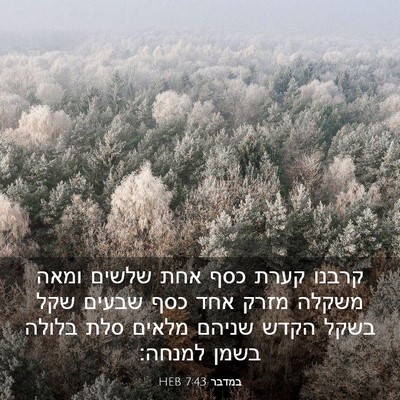 Picture 03 - במדבר 7:43 HEB - קרבנו קערת כסף אחת שלשים - Bible Verse Picture