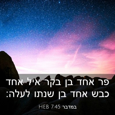 Picture 03 - במדבר 7:45 HEB - פר אחד בן בקר איל אחד כבש - Bible Verse Picture