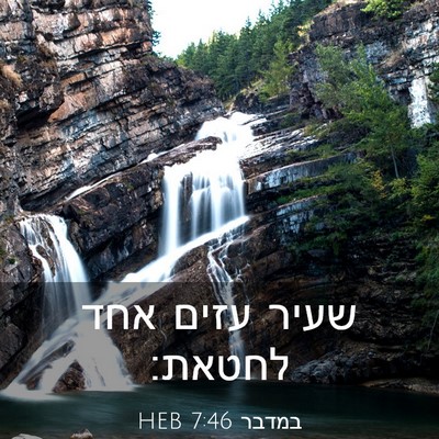 Picture 03 - במדבר 7:46 HEB - שעיר עזים אחד - Bible Verse Picture