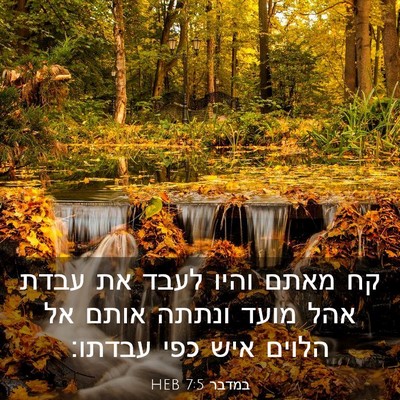 Picture 03 - במדבר 7:5 HEB - קח מאתם והיו לעבד את עבדת - Bible Verse Picture
