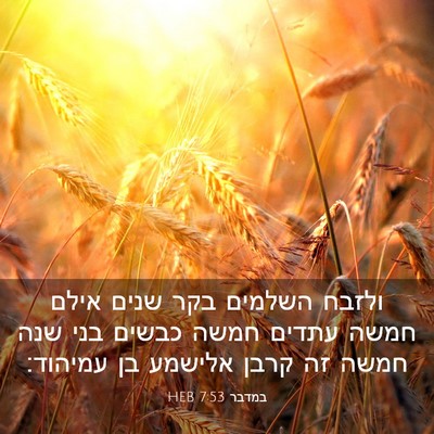 Picture 03 - במדבר 7:53 HEB - ולזבח השלמים בקר שנים אילם - Bible Verse Picture