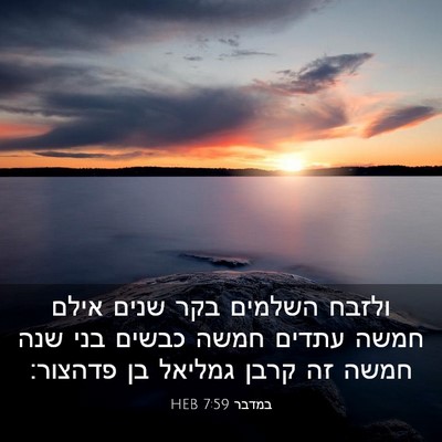 Picture 03 - במדבר 7:59 HEB - ולזבח השלמים בקר שנים אילם - Bible Verse Picture