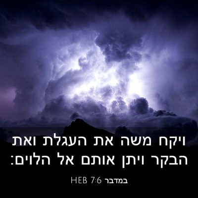 Picture 03 - במדבר 7:6 HEB - ויקח משה את העגלת ואת הבקר - Bible Verse Picture