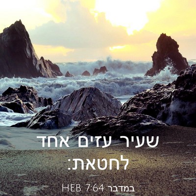 Picture 03 - במדבר 7:64 HEB - שעיר עזים אחד - Bible Verse Picture