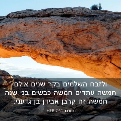 Picture 03 - במדבר 7:65 HEB - ולזבח השלמים בקר שנים אילם - Bible Verse Picture