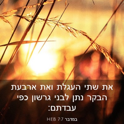 Picture 03 - במדבר 7:7 HEB - את שתי העגלת ואת ארבעת הבקר - Bible Verse Picture