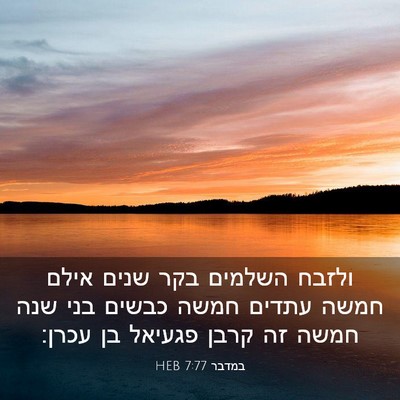 Picture 03 - במדבר 7:77 HEB - ולזבח השלמים בקר שנים אילם - Bible Verse Picture