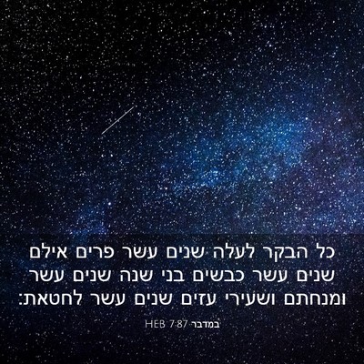 Picture 03 - במדבר 7:87 HEB - כל הבקר לעלה שנים עשר פרים - Bible Verse Picture