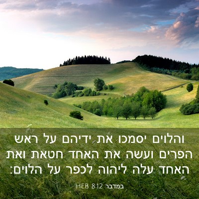 Picture 03 - במדבר 8:12 HEB - והלוים יסמכו את ידיהם על - Bible Verse Picture