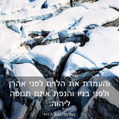 Picture 03 - במדבר 8:13 HEB - והעמדת את הלוים לפני אהרן - Bible Verse Picture