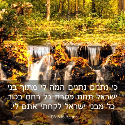 Picture 03 - במדבר 8:16 HEB - כי נתנים נתנים המה לי מתוך - Bible Verse Picture